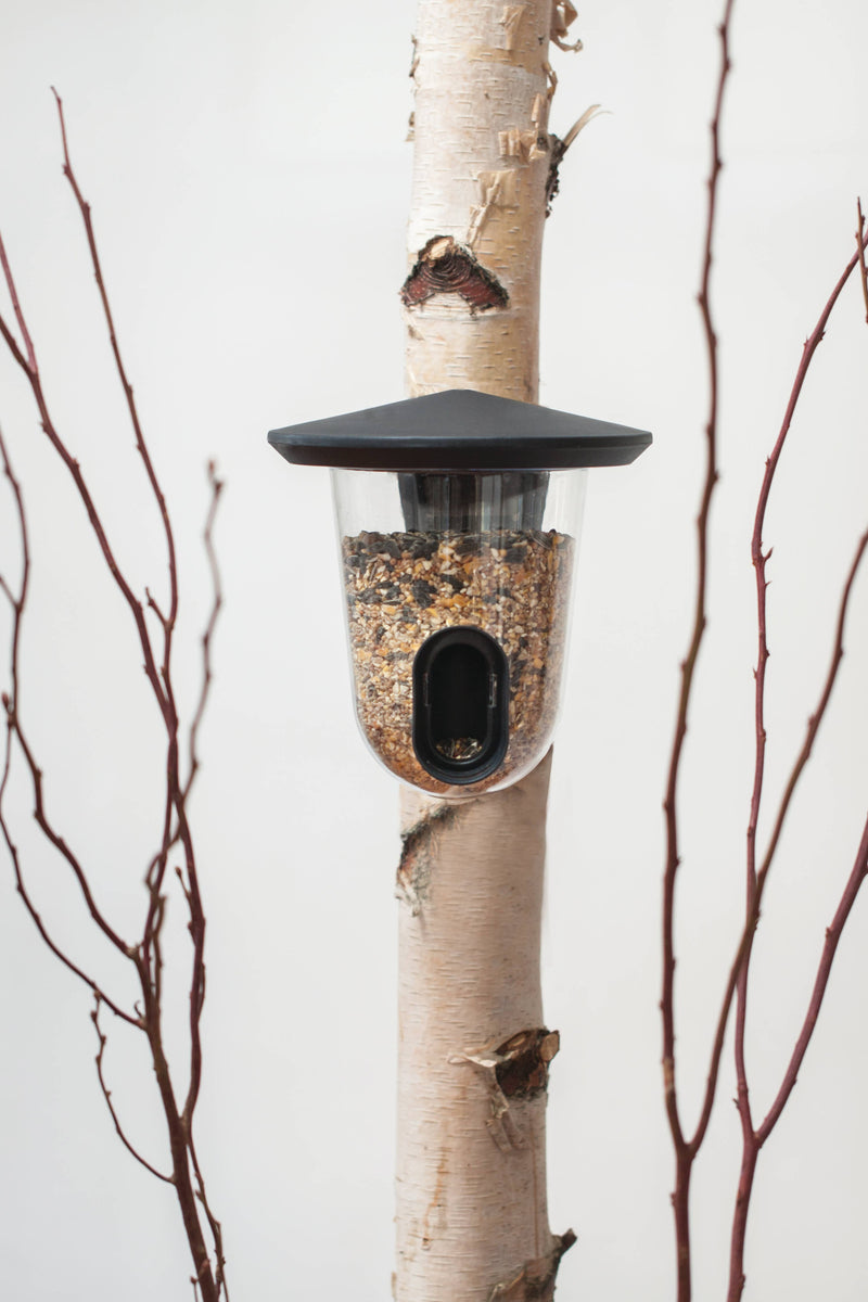 Hello Feedr plastic bird feeder