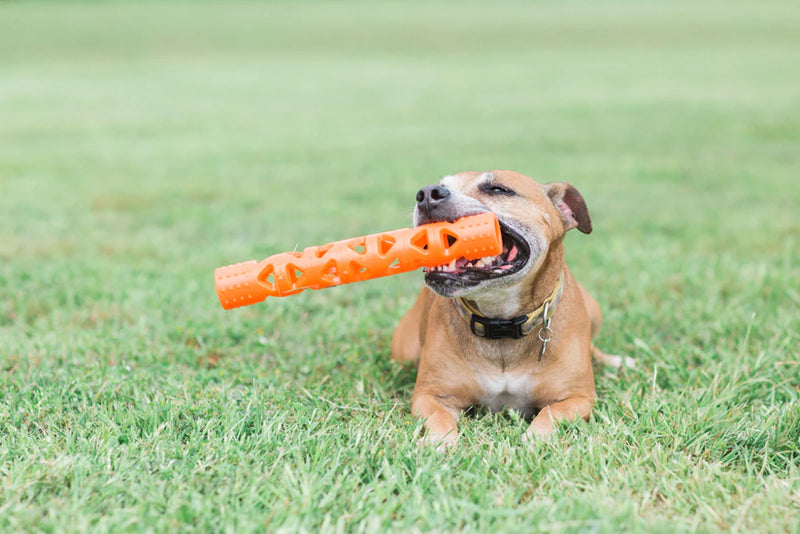 Chuckit! Air stick