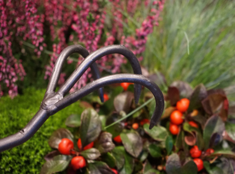 Cultivator 3 tands
