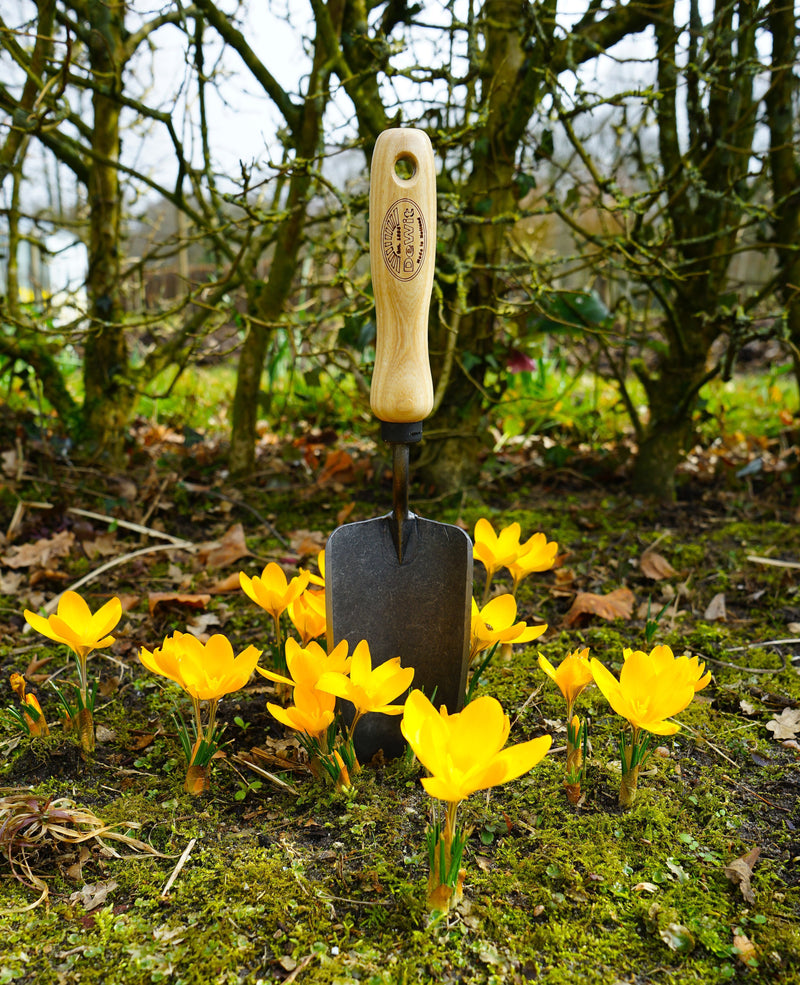 Compacte plantschep