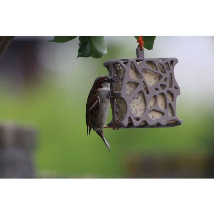 Hello Anna 100% recycled plastic bird feeder