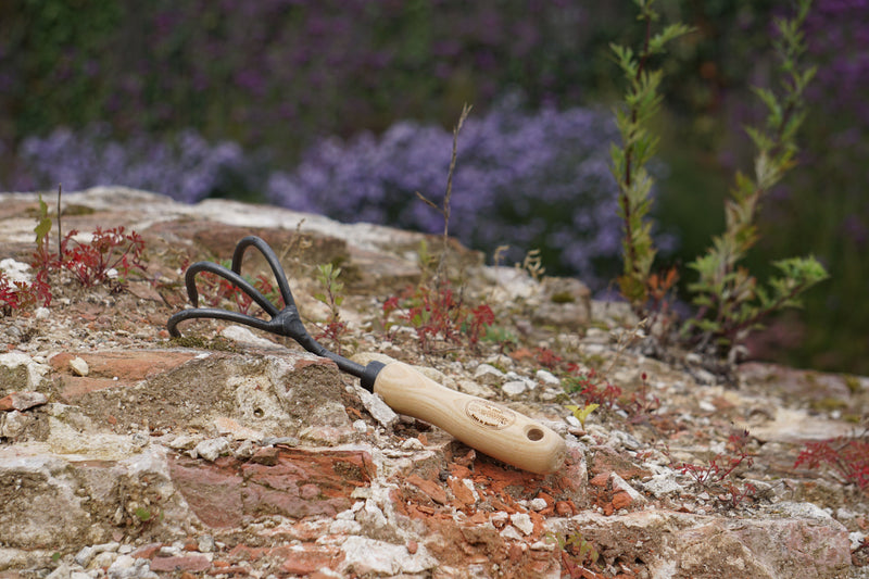 Cultivator 3 tands
