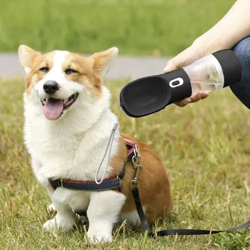 3-in-1 Drinkfles met Kom voor Honden en Katten