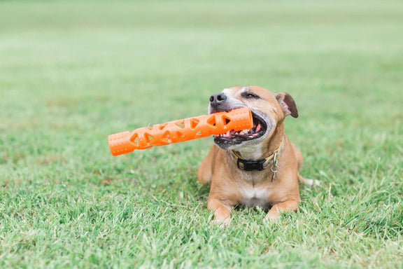 Chuckit! Air stick - Outdoor & Pets