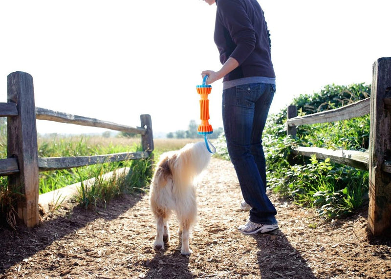 Chuckit Rugged Bumper small - Outdoor & Pets