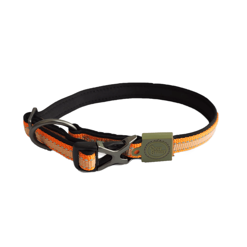 Halsband - Outdoor & Pets