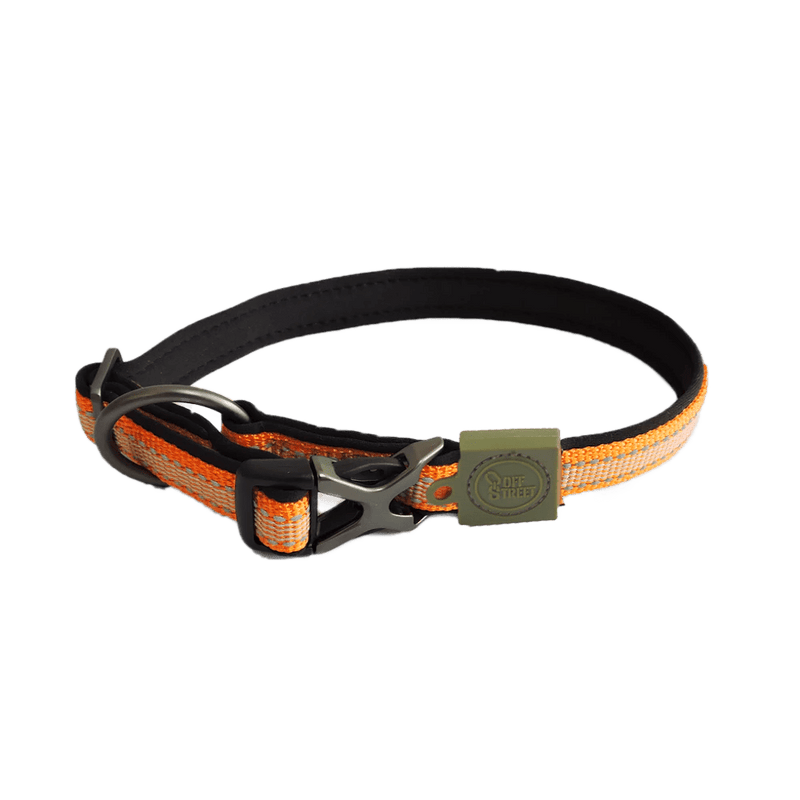 Halsband - Outdoor & Pets