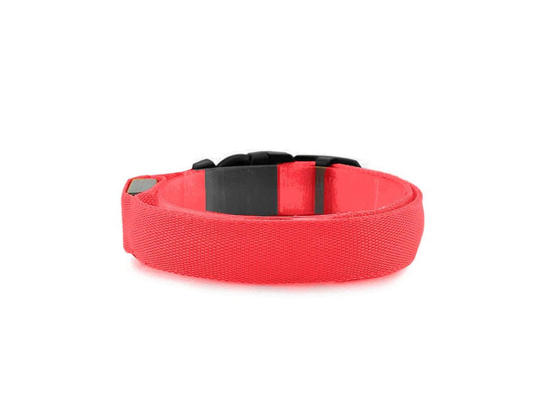 Halsband met led verlichting - Outdoor & Pets