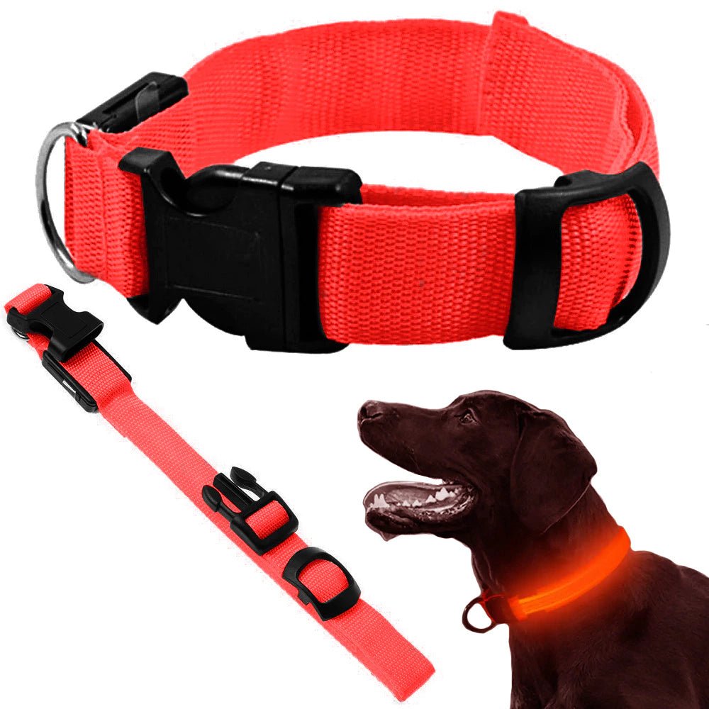 Halsband met led verlichting - Outdoor & Pets
