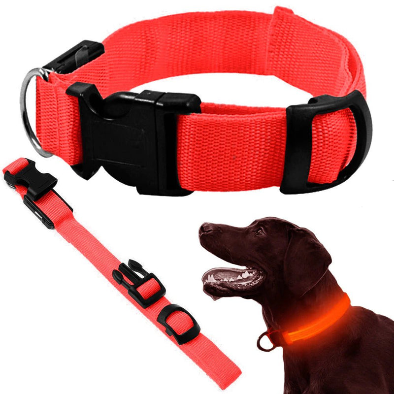 Halsband met led verlichting - Outdoor & Pets