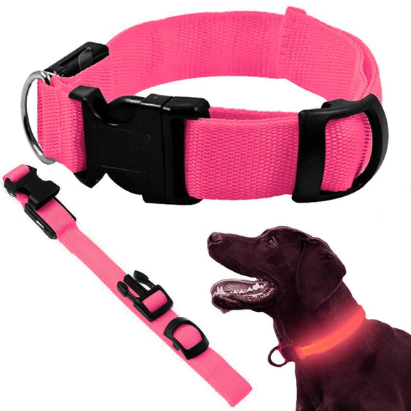Halsband met led verlichting - Outdoor & Pets