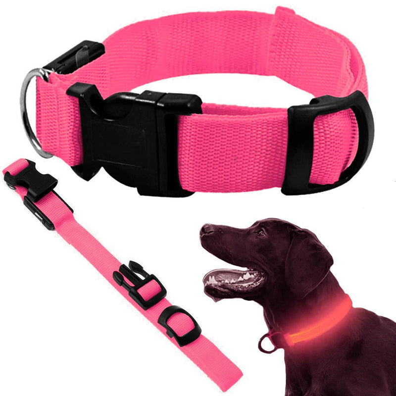 Halsband met led verlichting - Outdoor & Pets