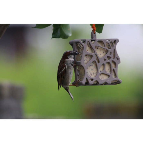 Hello Anna 100% recycled plastic bird feeder - Outdoor & Pets