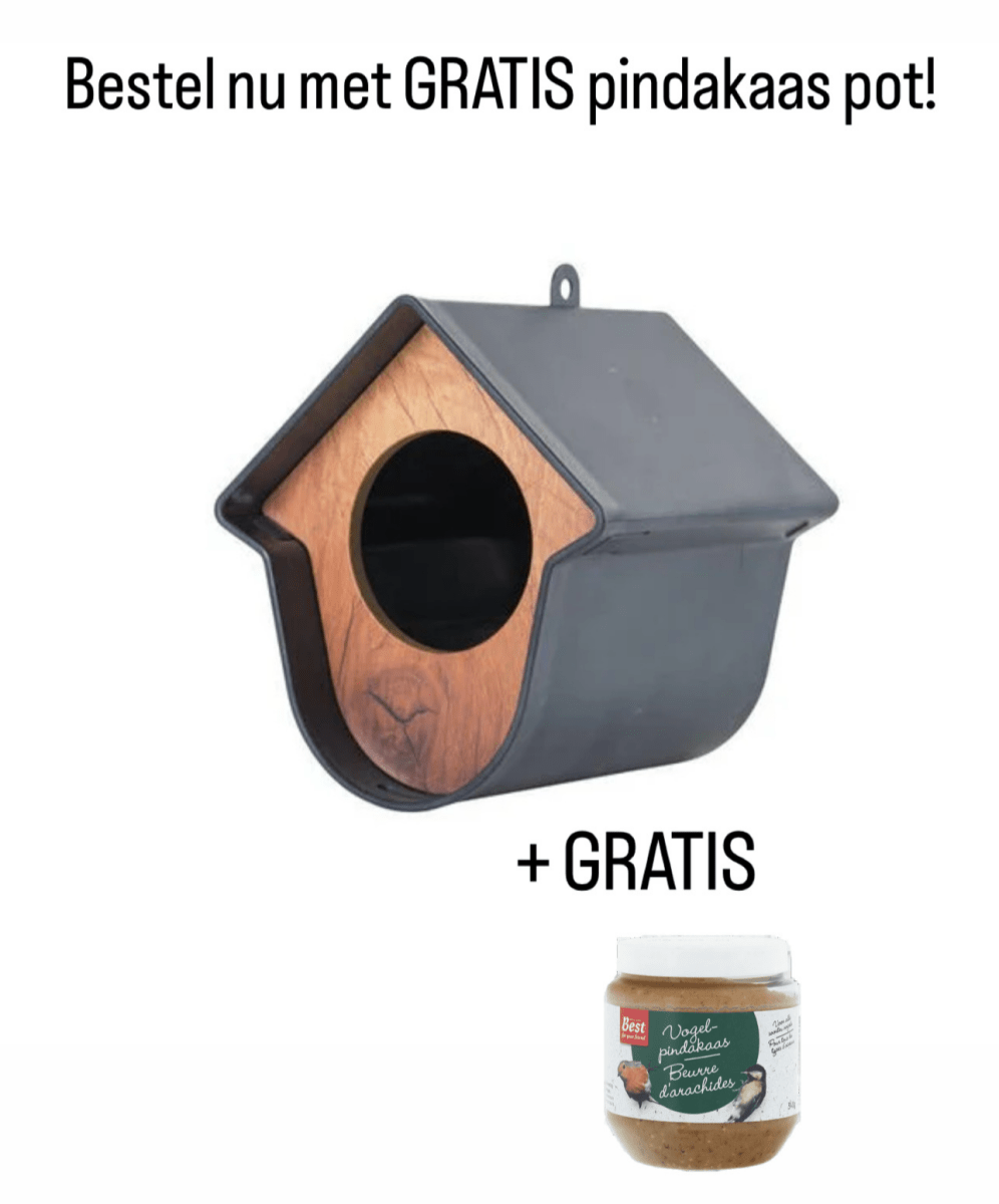 Hello Evie plastic bird feeder - Outdoor & Pets