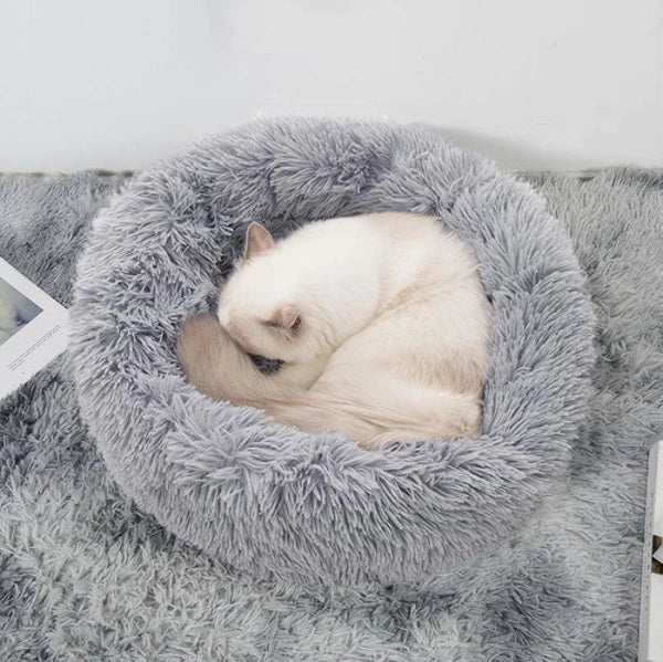 Kattenmand - Hondenbed - Outdoor & Pets
