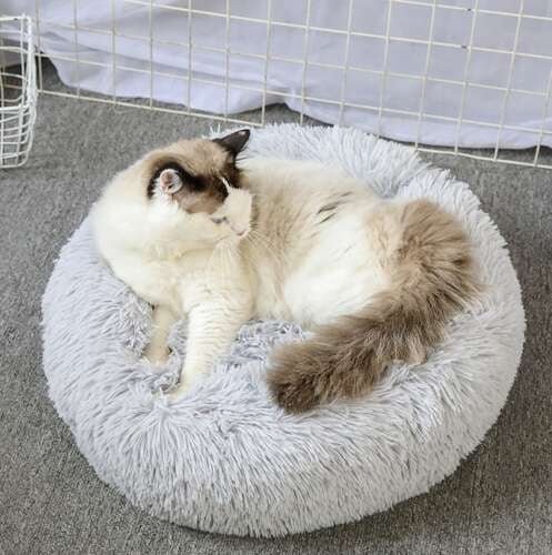 Kattenmand - Hondenbed - Outdoor & Pets