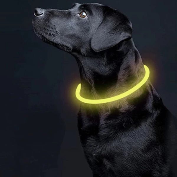 LED - lichthalsband - verstelbaar - Outdoor & Pets
