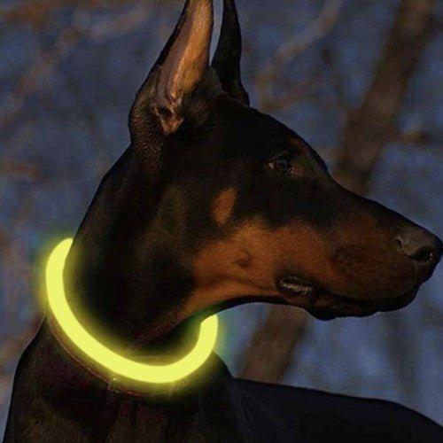 LED - lichthalsband - verstelbaar - Outdoor & Pets
