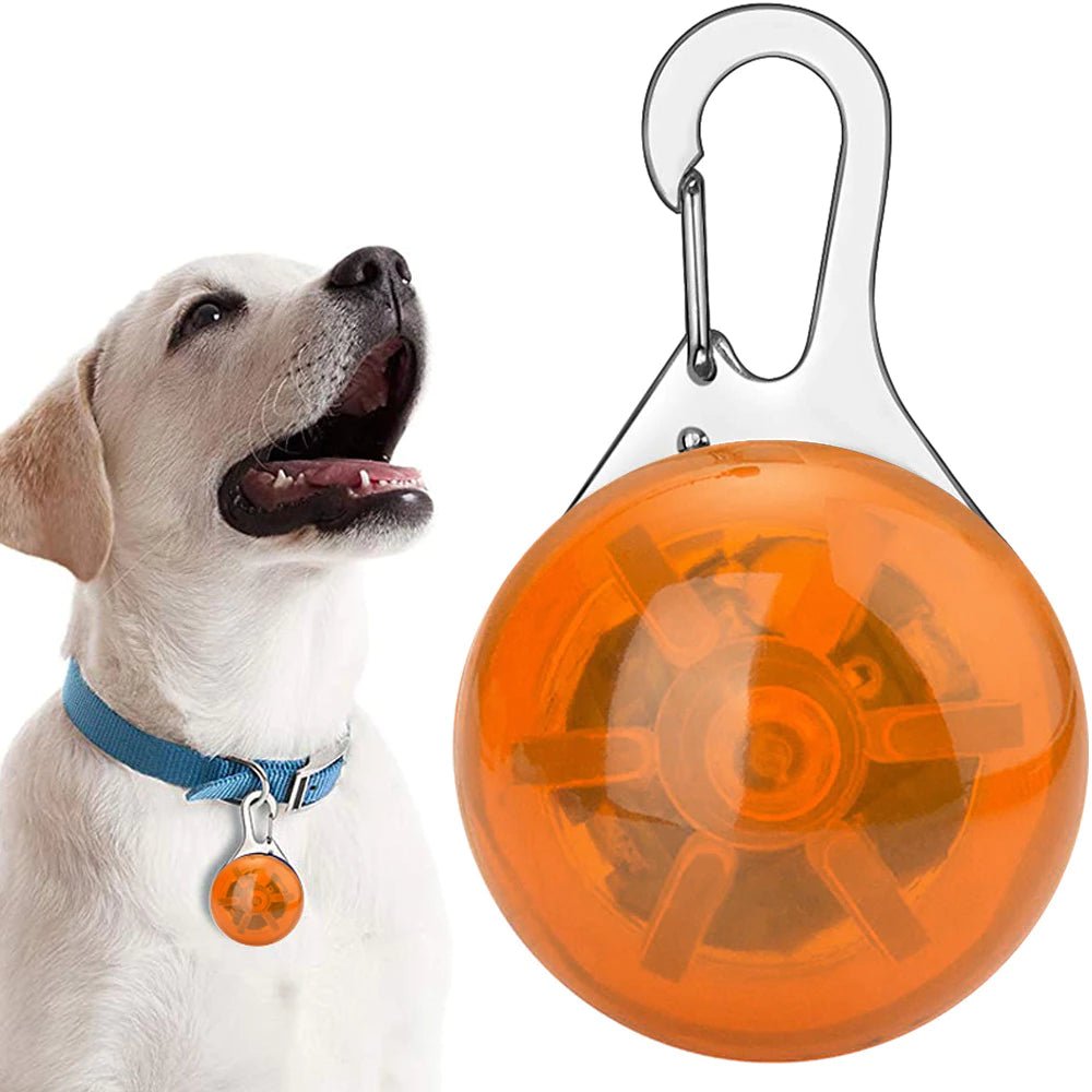 Ledlamp voor halsband - Outdoor & Pets