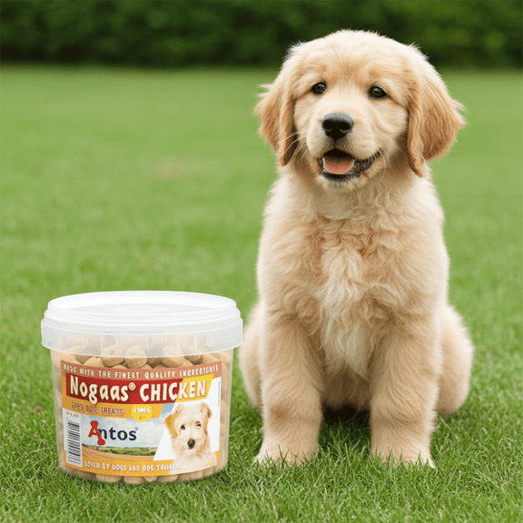 Nogaas 1500 g Kip - Outdoor & Pets