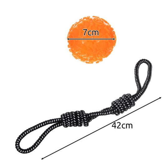 Hondenspeelgoedset - 10 stuks